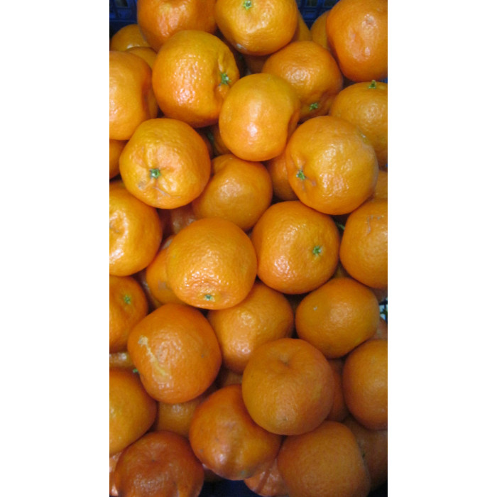 Mandarin Clementin