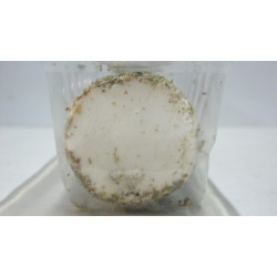 Kecskesajt 100G Zöldfűszeres Lágy Garabonciás