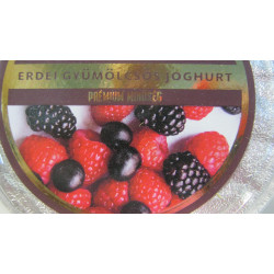 Joghurt 250G Erdei Gyümölcsös Zilda