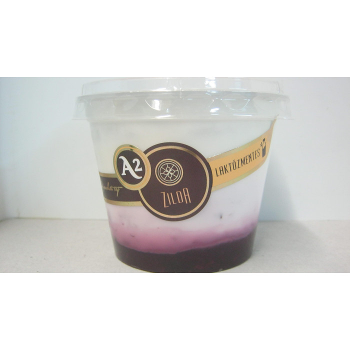 Joghurt 250G Erdei Gyümölcsös Laktózm.zilda