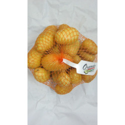 Burgonya 2Kg Sárga